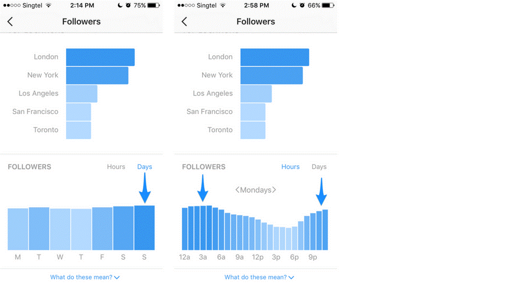 Best Instagram Analytics